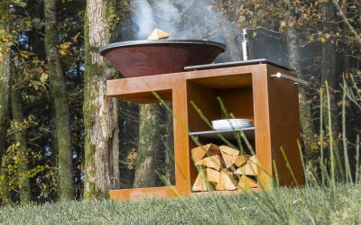 Brasero plancha ou barbecue : lequel choisir pour vos grillades ?