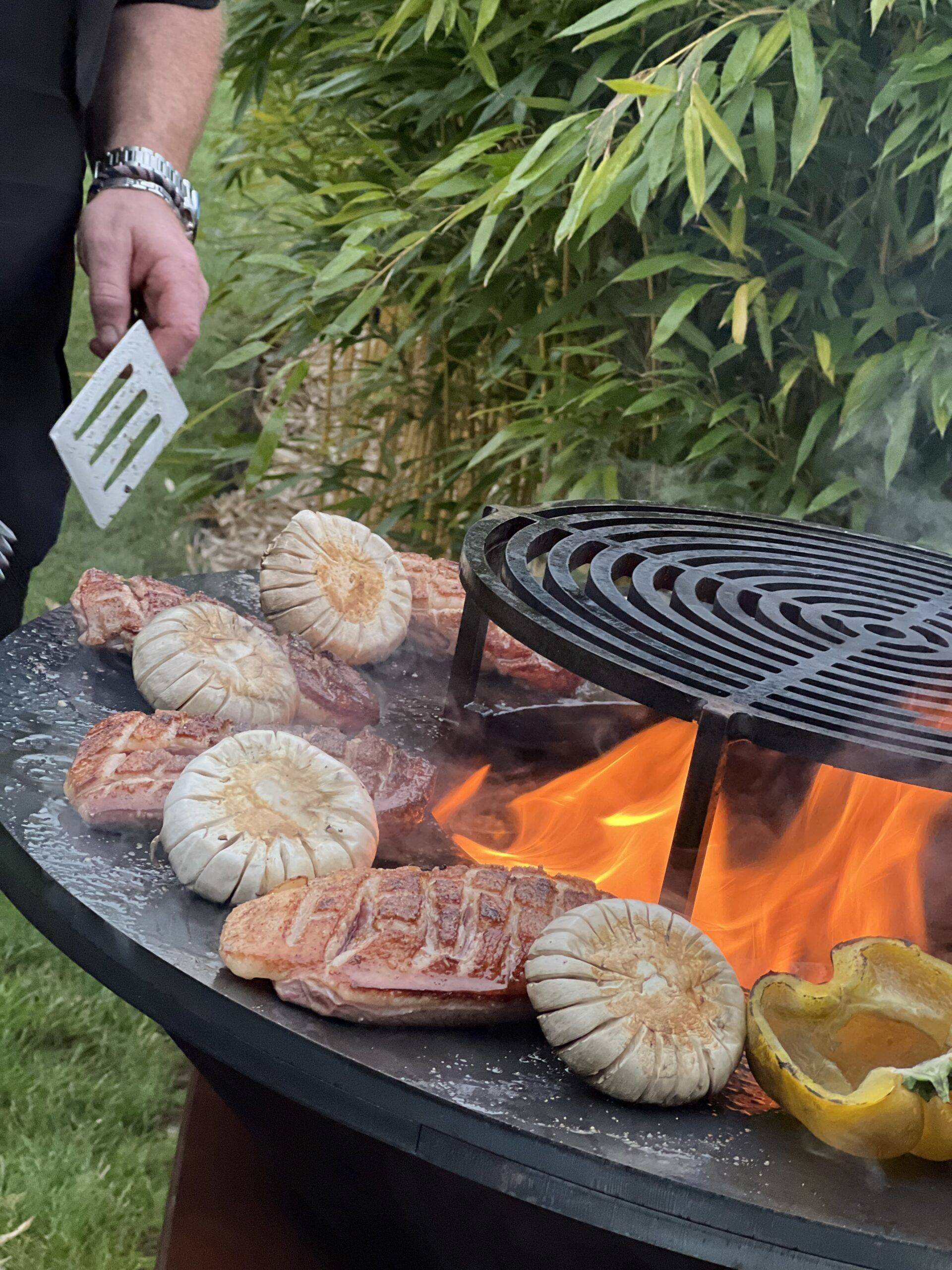 Alimentation variée plancha